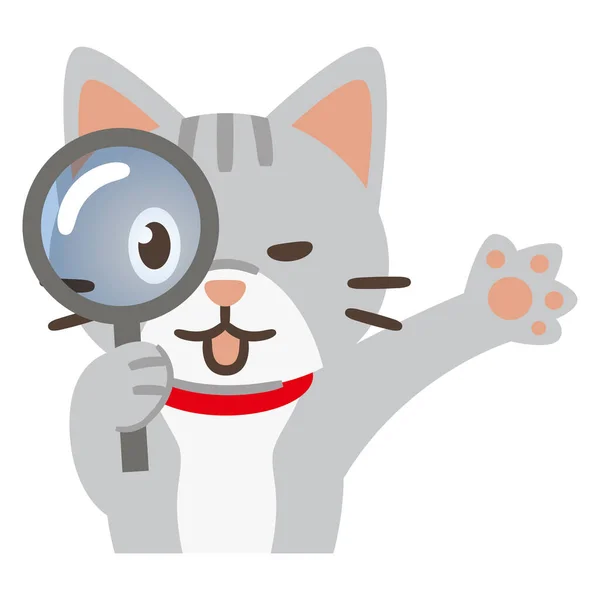 Illustration Einer Katze Die Durch Ein Vergrößerungsglas Auf Weißem Hintergrund — Stockvektor