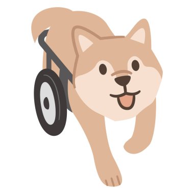 Beyaz arka planda köpek tekerlekli sandalyesi tasviri