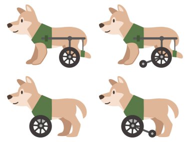 Beyaz arka planda köpek tekerlekli sandalyesi tasviri