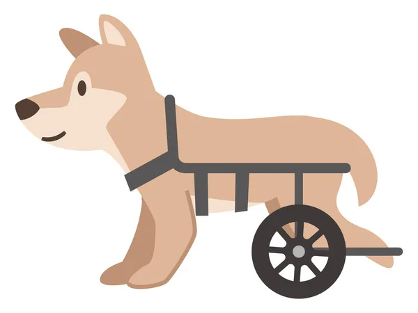 Illustration Dog Wheelchair White Background — Stock Vector
