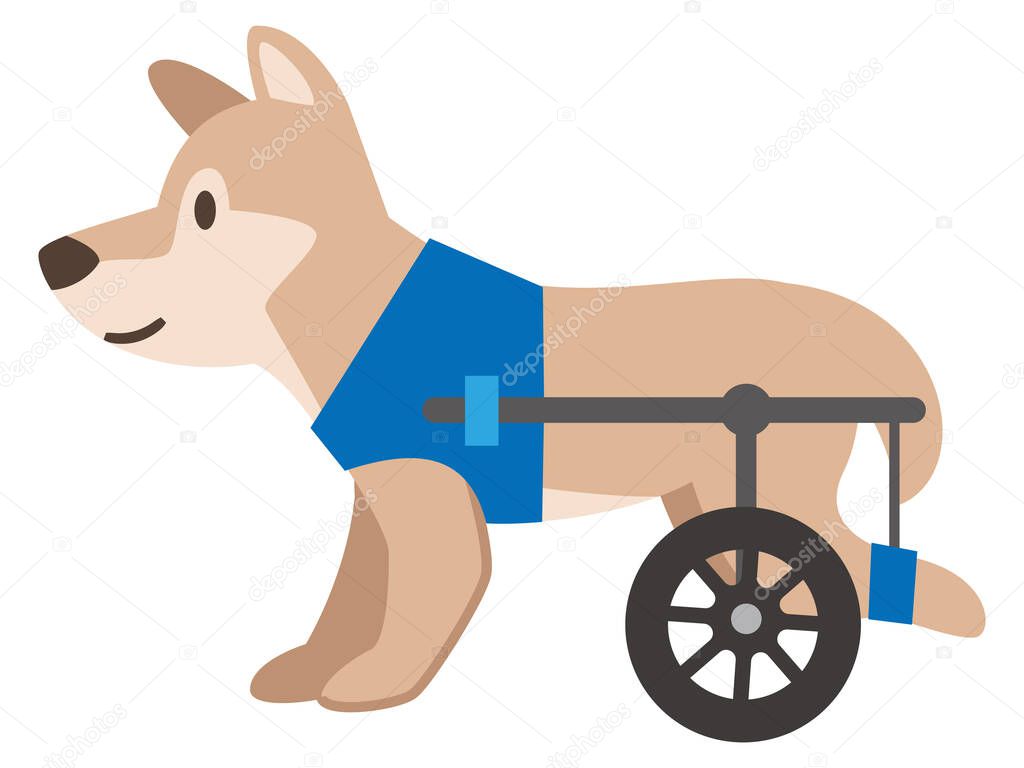 Illustration of a dog wheelchair on a white background