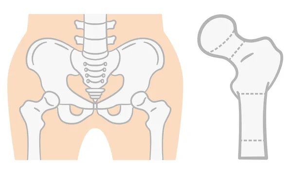 Illustration Plate Bassin — Image vectorielle