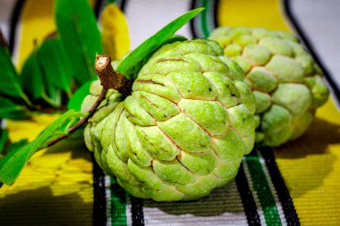 Bahçeden taze toplanmış organik muhallebi elması.