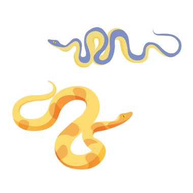 iki vektör egzotik yılan sürüngen izole karikatür