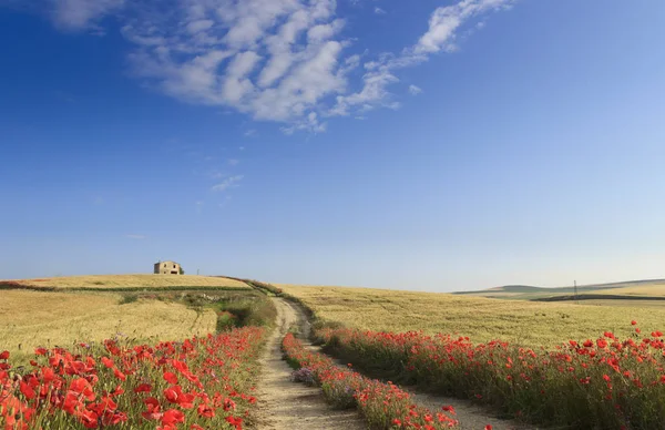 Springtime Entre Apulia Basilicata Italia Paisaje Montañoso Con Granja Carretera — Foto de Stock