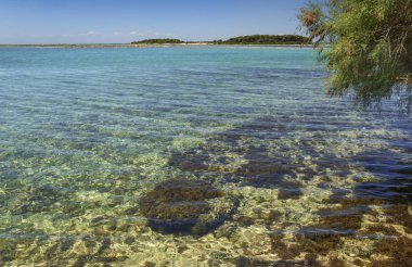 Yaz tatili. İyon Sahili Salento:Porto Cesareo (Lecce). - İtalya (Apulia) - Big Island (veya Isola Grande) arka planda doğa rezerv adacık Limanı Porto Cesareo önünde bulunan.