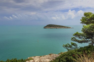 Gargano sahil: Campi Bay beach,Vieste-(Apulia) İtalya-It's pitoresk bir koyda çerçeveli zeytin ağaçları ve çam: standuppaddling uygulamaları yüzücü ve adacık Campi arka planda.