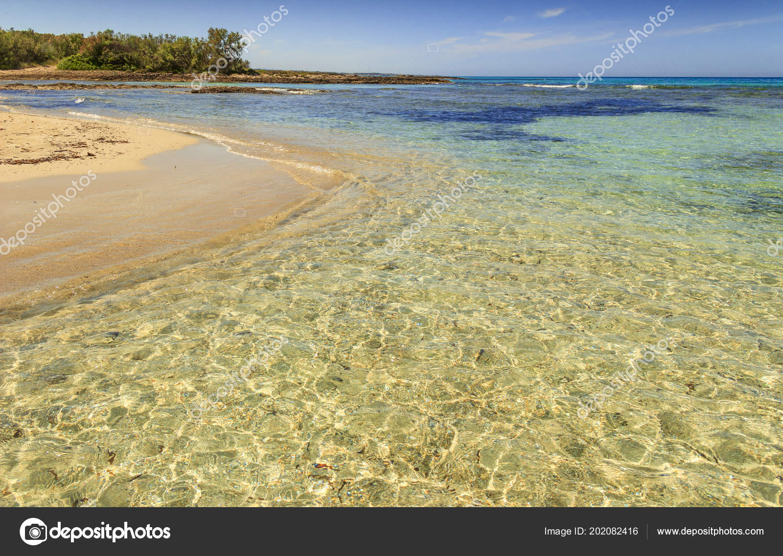 Spiaggia Estate Riserva Naturale Torre Guaceto Vista