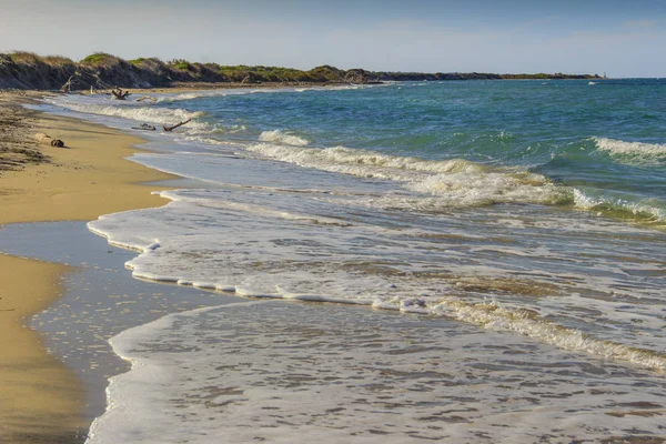 Summertime.The en güzel kumlu plajları, Apulia: doğa rezerv '' Le Cesine''. Uluslararası öneme sahip sulak alan var: farklı habitatları vardır dunes, bataklık ve maquis fundalıklar.