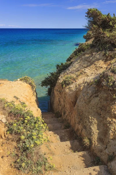 Escalier Vers Mer Belle Côte Des Pouilles Torre Sant Andrea — Photo