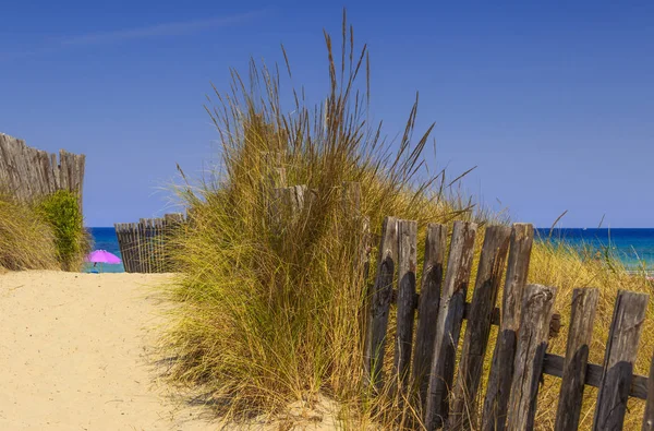 Het Regionale Natuurlijke Park Duin Costiere Torre Canne Hek Tussen — Stockfoto