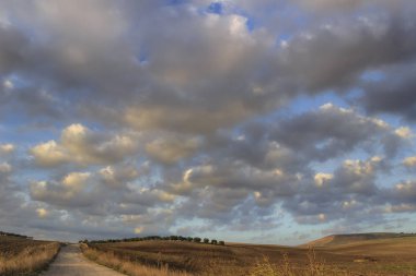 Apulia ve Basilicata arasında: sürülmüş karada olive grove ile dağlık manzara hakim bulutlar, İtalya. Ülkede yol sürülmüş alan aracılığıyla.