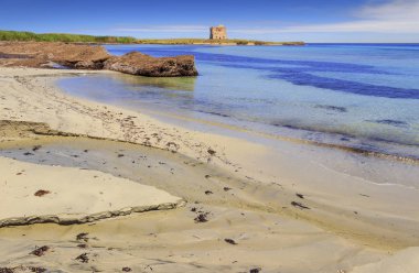 Apulia plaj: Doğa Rezerv Torre Guaceto.Italy.The doğa kutsal kara ve deniz arasında: Arka planda ortaçağ muhafız kulesi ve kıyı şeridiüzerinde posidonia birikimleri.