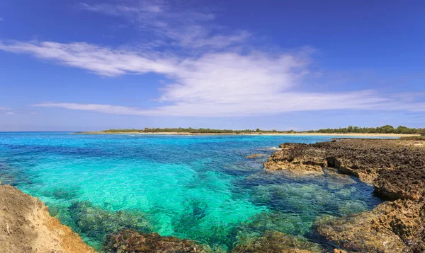 Summer beach.Torre Guaceto Nature Reserve: panoramic view of the coast from the cliff, Italy (Apulia). Mediterranean maquis: a nature sanctuary between the land and the sea.