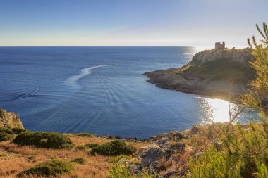 Salento sahil: gözetleme kulesi ile Uluzzo Körfezi görünümü . - İtalya (Apulia) -Bölgesel Doğal Park Porto Selvaggio ve Palude del Capitano kayalık ve pürüzlü, çam ormanları ve Akdeniz scrub ile.