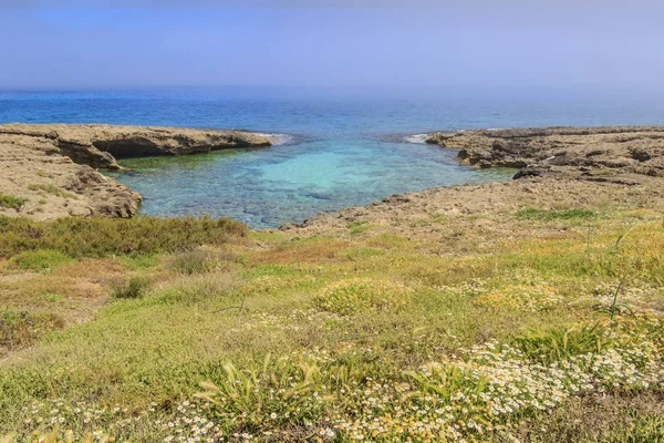 Praia Apúlia Reserva Natural Torre Guaceto Itália Santuário Natural Entre — Fotografia de Stock