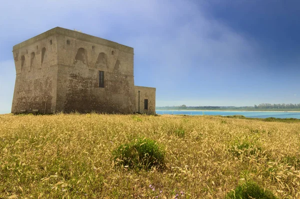 Torre Guaceto Természetvédelmi Terület Brindisi Apulia Olaszország Természetvédelmi Szentély Föld — Stock Fotó