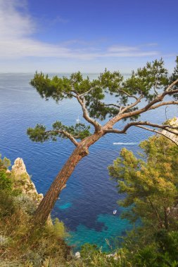 Capri adasında mavi su, deniz çam ve kayalıklarda yalnız tekneler ile Akdeniz denizi, İtalya.