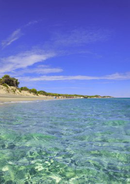 Apulia.Salento kıyılarının en güzel kumsalları: Alimini Beach, İtalya (Lecce). Torre Dell'Orso ve Otranto kumlu kıyı şeridi ile Akdeniz maki kaplı tepeleri ile karakterizedir.
