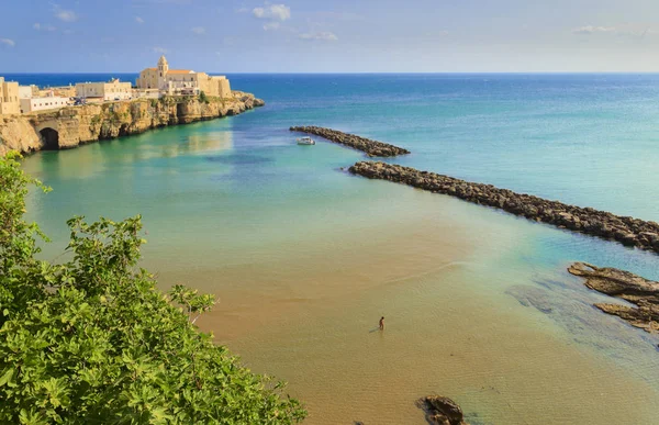 Gargano Part Vieste Öböl Apulia Olaszország Panorámás Kilátás Óvárosra Középkori — Stock Fotó