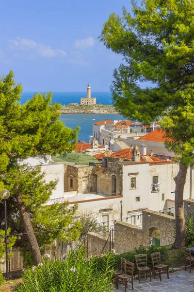 Panoramic View Vieste Old Town Apulia Italy Vieste Rises Rocky — Stockfoto