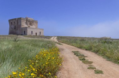 Yaz plajı. Torre Guaceto Doğa Koruma Alanı: Sahil ve kum tepelerinin manzarası. İtalya (Apulia). Akdeniz maskesi: kara ve deniz arasında bir doğa sığınağı.