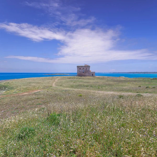 Yaz Plajı Torre Guaceto Doğa Koruma Alanı Sahil Kum Tepelerinin — Stok fotoğraf