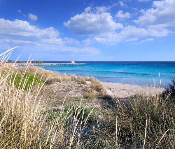 Mooiste Stranden Van Puglia Marina Lizzano Torretta Beach Apulië Italië — Stockfoto