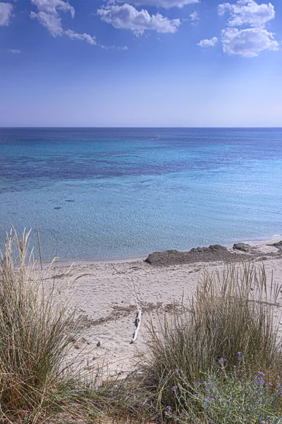 Mooiste Stranden Van Italië Campomarino Duinpark Zomer Ontspannen Windsurf Geïsoleerd — Stockfoto