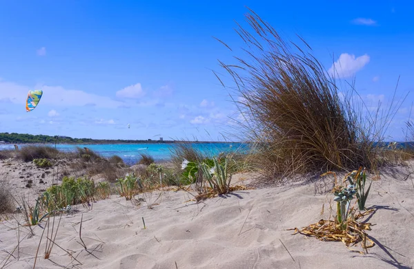 Verano Playa Punta Pizzo Destaca Corazón Del Parque Natural Regional — Foto de Stock