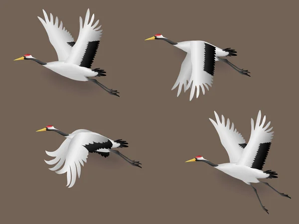 Set of Illustration Japanese Crane Birds Flying, Vector Illustration