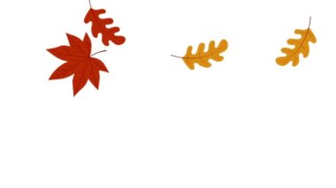 Renkli sonbahar yaprakları düşen hareket grafikleri