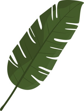 Yeşil Tropikal Yaprağın Görünümü