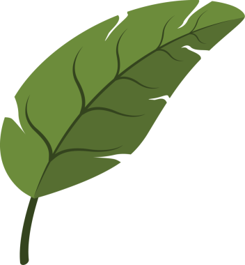 Yeşil Tropikal Yaprağın Görünümü