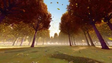 Sonbaharda ormana düşen yapraklar