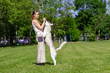 Genç güzel kıvırcık kız yaz parkında frizbi bir tabak ile köpeği ile oynarken. Sibirya husky köpek.