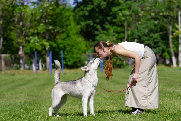 Young beautiful curly girl playing with her dog with a plate of frisbee in summer park. Siberian husky dog. — Stock Photo, Image