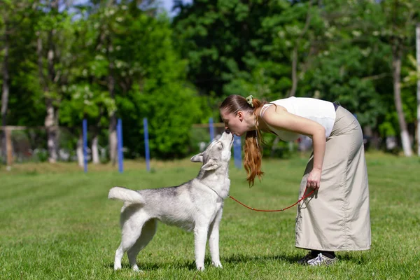 Молодая красивая кудрявая девушка играет со своей собакой с тарелкой фрисби в летнем парке. Сибирская хаски . — стоковое фото