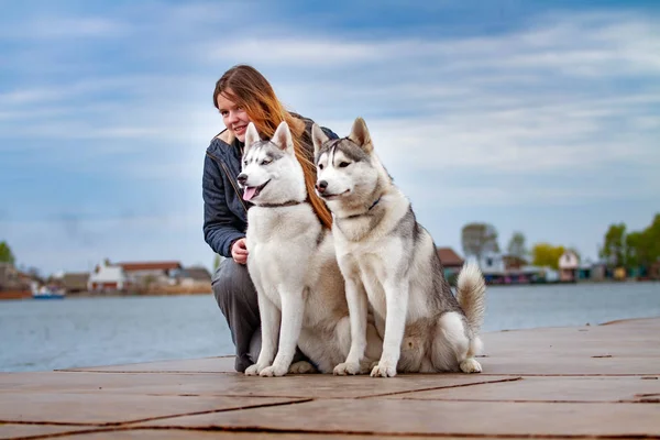 Joven chica hermosa con el pelo rojo está sentado en un muelle con dos perros husky. Mujer con un par de Husky siberiano —  Fotos de Stock