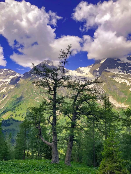 Gyönyörű kilátás az osztrák Alpokra. Grossglockner, Ausztria, — Stock Fotó