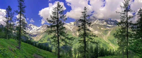 Avusturya Alpleri'nin güzel manzarası. Grossglockner, Avusturya,