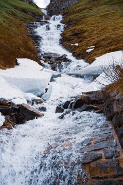 Şelale yosunlu kayaların üzerine düşüyor