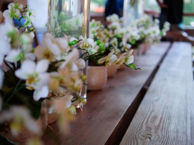 Ahşap bir masaya dekoratif çiçek