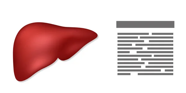 Печень с местом для выделения текста на белом фоне — стоковый вектор