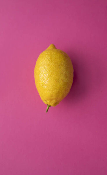 Бесшовный узор с фруктами. Лимон на розовом фоне. Феликс
