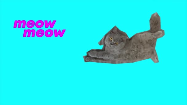 Kattenstop Beweging Wat Gebeurd Animatie Video — Stockvideo