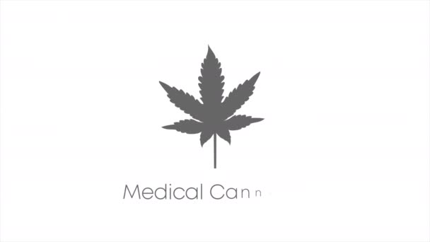 Vídeo Movimiento Del Cannabis Medicinal Sobre Fondo Blanco — Vídeo de stock