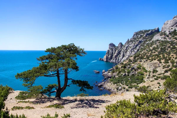 Güzel sahne, Güney Sahili, Kırım'da, Karaul Oba, yeni dünya
