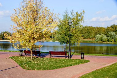 Parkta Tsaritsyno Moscow City güneş sonbahar