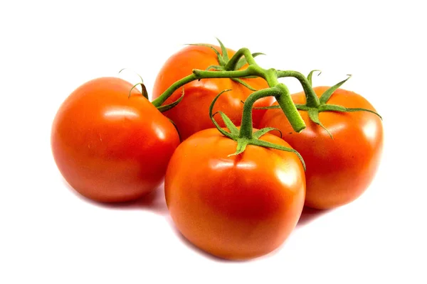 Vista Tomates Rojos Sobre Una Rama Sobre Fondo Blanco — Foto de Stock